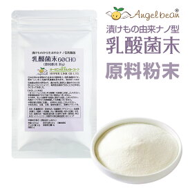 乳酸菌 原末100% 原料 国産 植物性 ナノ型 パウダー（粉末30g 約1～2ヶ月分）（スティック1gx7包 お試し）