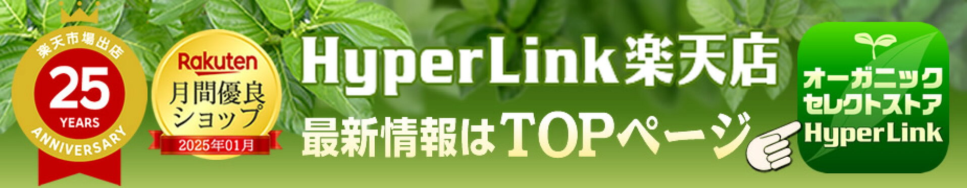 トップページへ