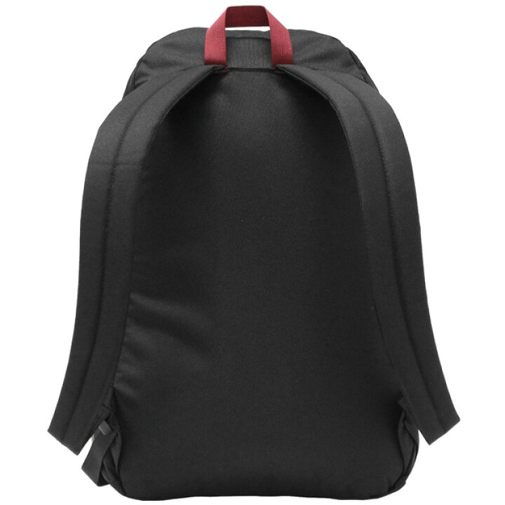 楽天市場】5%OFFクーポン配布中！patagonia パタゴニア IRONWOOD PACK 