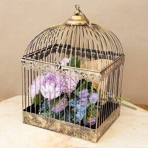  o[hP[W AeB[N   t[AWg K[fjO fBXvC ACA CeA t`ACA