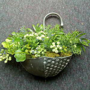 v^[ AuEH[|bg P ACA AeB[N ݂艺 t[bN Ǌ| ԑ u GNXeA  K[f K[fjO Jg[ K[ft@j[