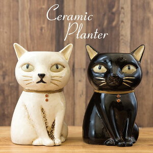 Z~bNv^[ t[|bg lR L ˂ cat ˂ v^[ Aؔ  ϗtA  A O  A CeA K[fjO A [X