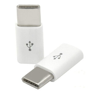 2Zbg Type-C [d ϊA_v^ microUSB-Type-C ʐM [d ϊRlN^[ Nintendo Switch CV jeh[ XCb` usb-c f[^] ʐM \j[ ^CvC }CNUSB X}z gя[d X}