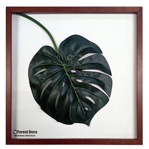 CeA O[A[g A[gpl t[ A[gt[ |X^[ ObY AN t[t Ǌ| IuWF AJG IuWF EH[ fR _  |X^