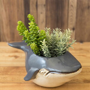 Z~bNv^[ t[|bg V` NW T L v^[ Aؔ  ϗtA  A O  A CeA K[fjO A [X