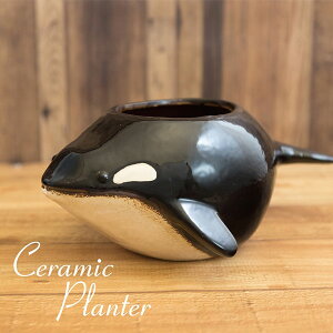 Z~bNv^[ t[|bg V` v^[ Aؔ  ϗtA  A O  A CeA K[fjO A [X