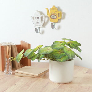 tFCNO[ VSjE Z~bN|bg Z~bN|bg K[fjO|pi ϗtA  AWϗt   킢 v[g ؍CeA