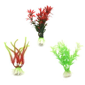 lH Mы  2STCY pIuWF ANAEpi  ANAE