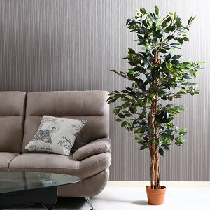 lHϗtA tFCNO[ ϗtA  A CeA  tFCN O[ j ̓ tBJX C~e[V A {   킢 v