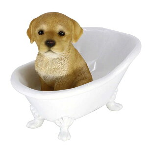 ̒u uh[ oX^uhbO   IuWF A hbO `[t ѕ  I[ig K[fjO g JtF CeA x_A[g