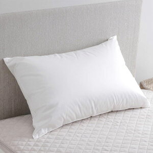 ���� �_�E���s���[ �_�E���܂��� �_�E���� �H�і� �������� ���C�h 70cmx50cm �_�E��85% �t�F�U�[15% ���{�� ���� �������� ����Y�� �z�e���e�C�X�g �z�e���܂��� �܂��� �h�V�̓� EH22159005 pillow 