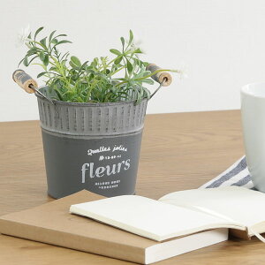 uLoPc v^[ X`[ AeB[N t[bN v^[ ԑ u GNXeA  K[f K[fjO Jg[ K[ft@j[`[  킢