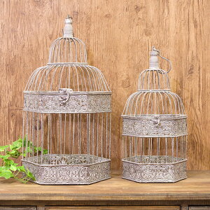  o[hP[W AeB[N   t[AWg K[fjO fBXvC ACA CeA wLTS 召2Zbg