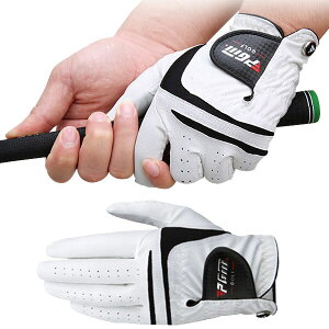 StO[u rv v ̓Obv ϋv St Y O[u E(p) Obv͂