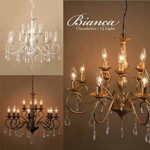 VfA LEDdΉ rAJ 12 rO _CjO Lb` ݏƖ E12/^ ACA  LEDdΉ Vz tH[ y V[OCg AeB[N led [bp A