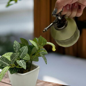 Xv[ v XvC[ KXXvC[   e lߑւ {g  lC e p K[fjO ϗtA  