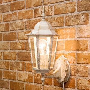 Axj[ EH[v uPbg VfA wLTS AeB[N uPbgƖ Pln v Ɩ 1 AeB[N uPbgCg EH[v EH[Cg LED