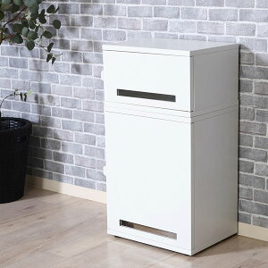 ��z�{�b�N�X ��z �u���z �X�`�[�� ���O �{�b�N�X ���[ �傫�ȉו��Ή� ��e�� �s�ݎ�� ����h�~ �h�� �I�V���� ���[ ������� �S�~�� ���O �X�`�[����z�{�b�N�X