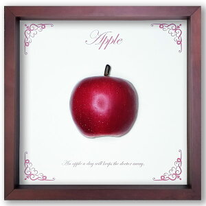 tFCNA[g A[gpl t[ tFCNt[cA[g |X^[ ObY Xg X CeA  Mtg t[t Ǌ| IuWF 蕨 G  X Jt