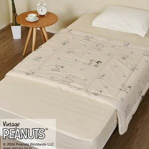  n[tPbg Xk[s[ s[ibc PEANUTS n[tTCY ^In QTCY @OK v[g 蕨 Mtg