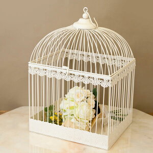  o[hP[W AeB[N   t[AWg K[fjO fBXvC ACA CeA t`ACA Cream N[