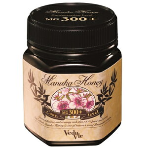 2ZbgF[_B}kJnj[ MG300+ 250gyNێɁBMG100+ɔׂĂЂƂ̌₩ۂɁBz