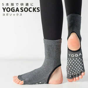 y2_200~OFFA3_500~OFFN[|zK C 5{w \bNX fB[X ~ߕt KEFA ObY  킢 Vv n  K seBX GNTTCY 