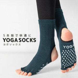 y2_200~OFFA3_500~OFFN[|zK C 5{w \bNX fB[X ~ߕt KEFA ObY  킢 Vv n  K seBX GNTTCY 