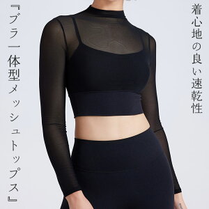 KEFA KgbvX Jbvt  fB[X V[g zbgK bV VA[ C[h ǔ^ Vv n v`nClbN Xgb` tBbg I  z