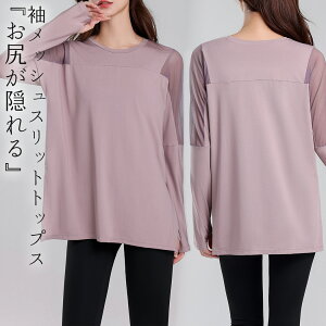 KEFA gbvX fB[X KtVc seBXEFA Xbg EhlbN  bV ʋC  Tz[ w  z  ̌^Jo[ KgbvX X|