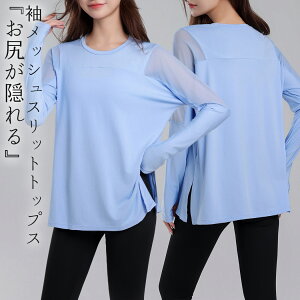 KEFA gbvX fB[X KtVc seBXEFA Xbg EhlbN  bV ʋC  Tz[ w  z  ̌^Jo[ KgbvX X|