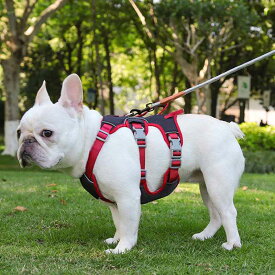 300円OFFクーポン 犬 ハーネス 小型犬 中型犬 おしゃれ 犬用ハーネス 犬のハーネス かわいい 抜けない 抜けにくい 脱げない 脱げにくい 柴犬 歩行補助 ソフトハーネス ハーネス 簡単ロック 胴輪 調整可能 ペット ハーネス リード散歩 YOUIKA