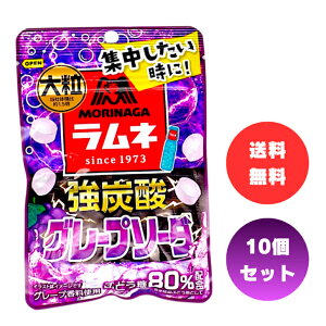 Xi 嗱lY_O[v\[_ 25g ×10