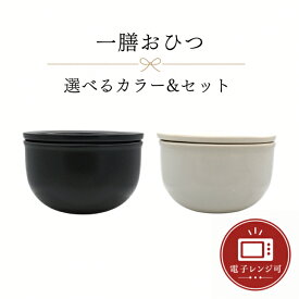 TOJIKI TONYA おひつ 選べるカラー＆セット