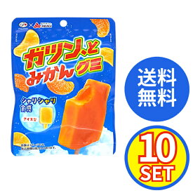 不二家 ガツン、とみかん グミ 53g × 10袋 賞味期限2027年3月31日