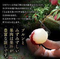 ライチ化粧箱1キロ(大玉)