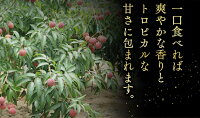ライチ化粧箱1キロ(大玉)