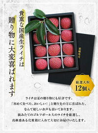 ライチ化粧箱1キロ(大玉)
