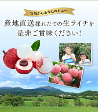 ライチ化粧箱1キロ(大玉)