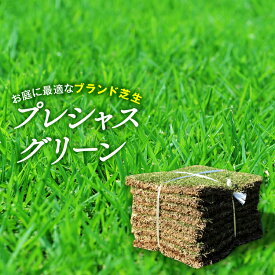 【普通便】芝生プレシャスグリーン改良高麗芝4平米　4束/2箱