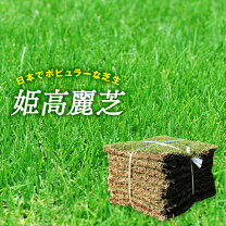 楽天市場】高麗芝（ガーデニング・農業｜花・ガーデン・DIY）の通販