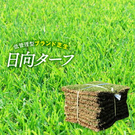【普通便】芝生　日向ターフ 改良野芝 　宮崎県産　2平米　2束/1箱