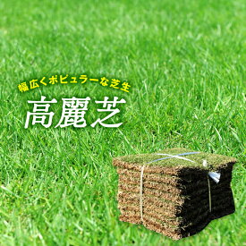 【普通便】芝生　天然芝　高麗芝　宮崎県産　10平米　10束/5箱