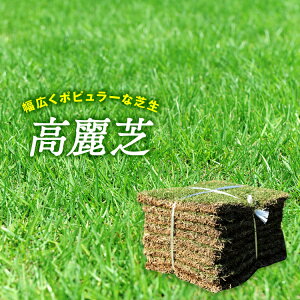 【普通便】芝生　天然芝　高麗芝　宮崎県産　8平米　8束/4箱