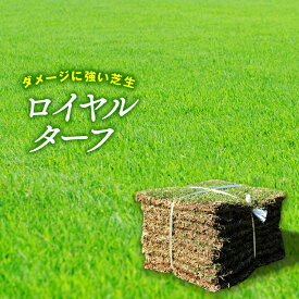 【クール便】　芝生　ロイヤルターフ 改良ティフトン芝 2平米　宮崎県産　2束/1箱