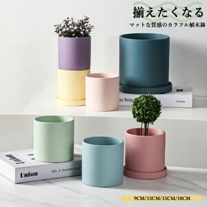 yvase129zAؔ Vv Jtv^[ A |bg ~͔A CeAu Vv T{e ~` ꔫ