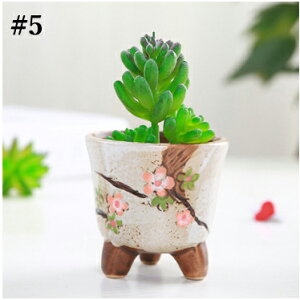 yvase317zAؔ Ԗ͗l ~j Vv v^[ A |bg ~͔A Aؔ ԕr CeAu