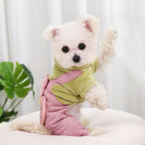 ypet276zV ybg t@[hX ybghX ybgp̕  ӂӂ  ybgt@[ ybgEFA