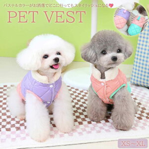 ypet531zH~ybg ybg LeBOxXg DJ DO Lybg ^ EFA ybgAE^[ h {A tFCNt@[