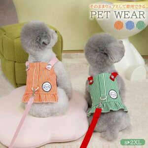 ypet565zċGI2_ڂ͔zI9/30܂2025tăybg ybgxXg n[lX DO fj tW Lybg ^ [h |Cg5{ tJ[ybg  fC[